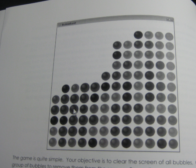 Print screen from the book