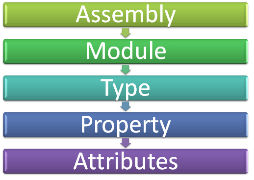 Assembly --> Module --> Type --> Property --> Attributes