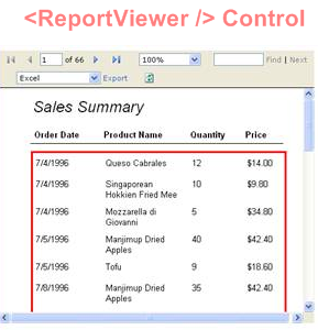 ReportViewer Control