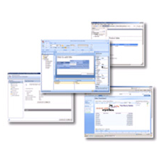 SQL Server 2008 Reporting Services Print Screens